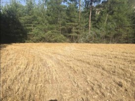 BİLECİK GÖLPAZARI KUŞÇUÖREN KÖYÜNDE SATILIK 3120 M2 ARAZİ