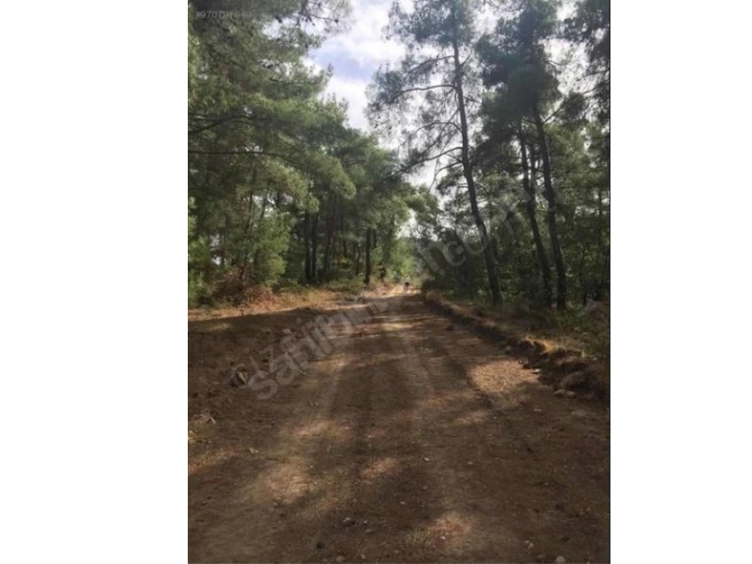 BİLECİK GÖLPAZARI KUŞÇUÖREN KÖYÜNDE SATILIK 3120 M2 ARAZİ