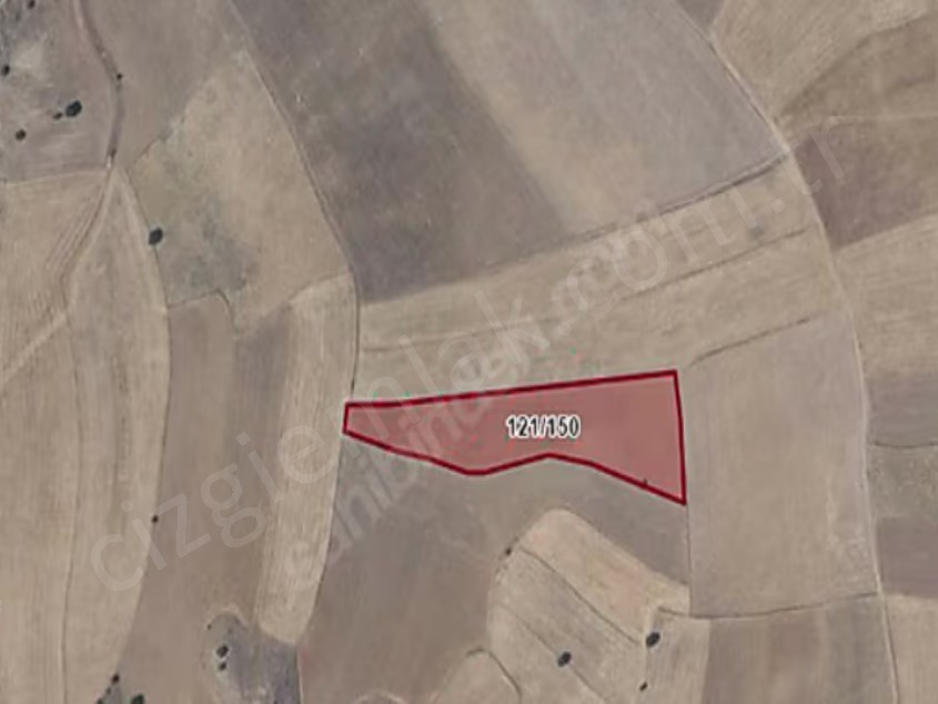 AFYON HOCALAR ÇEPNİ KÖYÜNDE SATILIK KELEPİR VERİMLİ TARLA