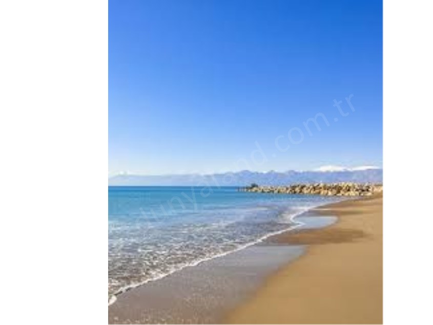Magical World of Love ANTALYA 