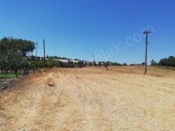 KURŞUNLUDA VİLLALARIN YAPILDIĞI BÖLGEDE MÜSTAKİL TAPULU TARLA