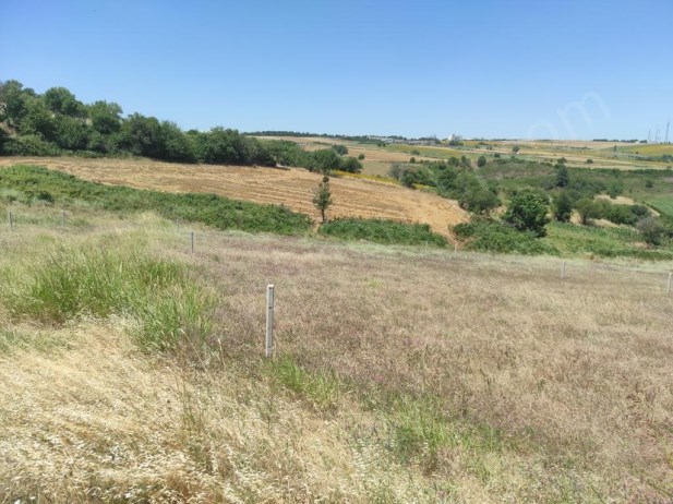 TEKİRDAĞ SÜLEYMANPAŞA BARBAROS MAHALLESİNDE YATIRIM FIRSATI SATILIK ARSA 