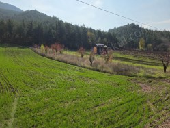 GÖLPAZARI ASFALTINA CEPHELİ 800 M2 YETİŞKİN KİRAZ BAHÇESİ  KAÇMAZ