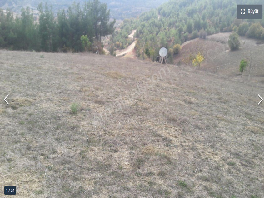 BİLECİK GÖLPAZARI KÜMBET KÖYÜNDE 2,400 M2 ARAZİ 