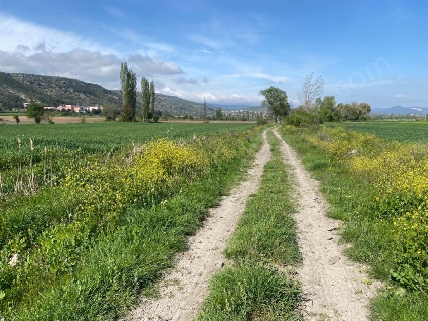 GÖLPAZARI REDAŞİYE MAHALLESİ 7528 M2