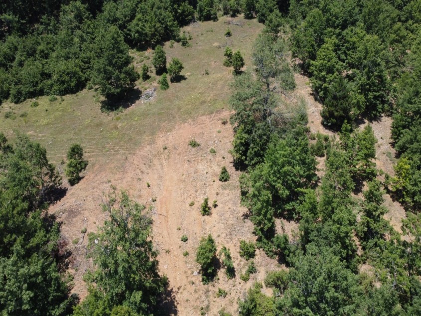 OĞULPAŞA KÖYÜNDE 9.207 M2 TARLA KAÇIRILMAYACAK ARAZİ 