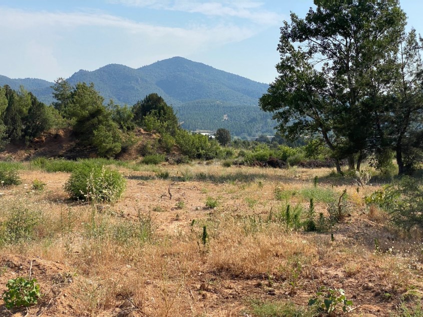 KÖY İÇİ 930 M2 DÜZ BAHÇE VASFINDA ELEKTRİK SUYA YAKIN ARAZİ