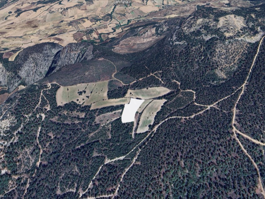 GÖLPAZARI ŞAHİNLERDE 7.600 M2 MANZARALI DÜZ TARLA