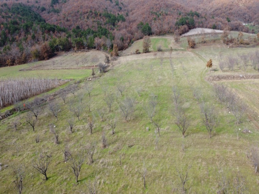 OĞULPAŞA ŞENLİK ALANINDA 7 DÖNÜM MANZARALI ARAÇ TAKASLI ARAZİ