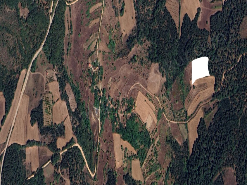 KÖYE 400 METRE MESAFEDE 6,563 M2 SATILIK TARLA 