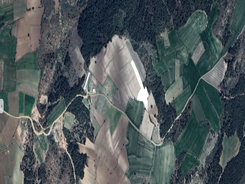 TARIMA,HAYVANCILIĞA VE YATIRIMA UYGUN 6.000 M2 SATILIK TARLA 