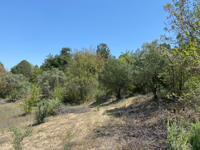 7.400 M2 KÖY MANZARALI MEYVE BAHÇESİ