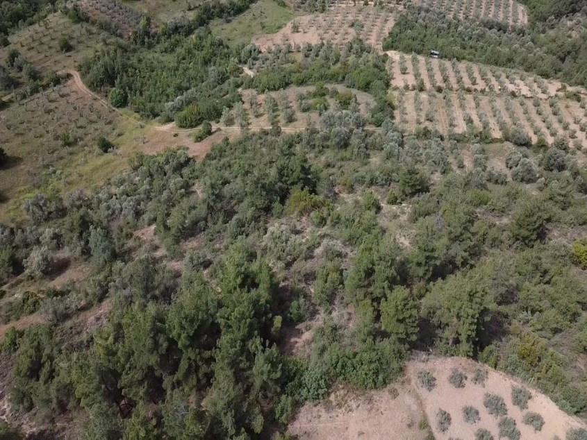 BALÇIKHİSAR KÖYÜNDE 1.163 M2 SATILIK TARLA 