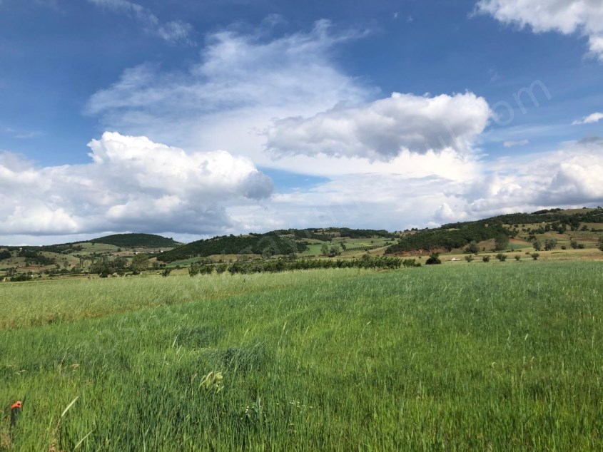 5.185 m2 BAĞ EVİ YAPMAYA UYGUN KÖYE YAKIN ARAZİ