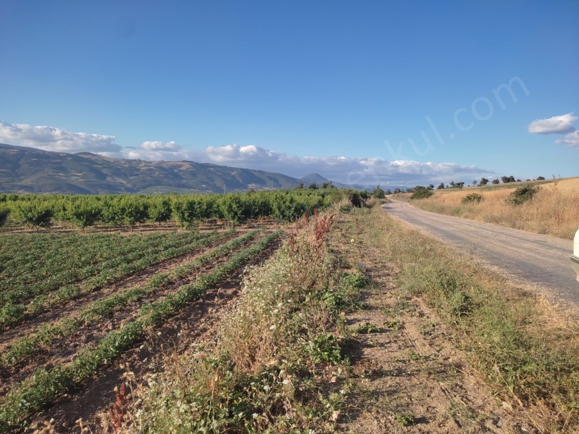 3.386 M2 MANZARALI, ASFALT KENARI SATILIK TARLA 