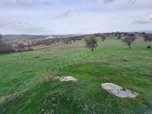 Ezine Organize Sanayi Bölgesine Sınır 12.000 m2 Arazi !!!