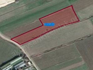 Burhaniye Kızıklı 10 Dömüm Dümdüz Satılık Tarla