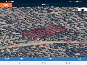 Havran Mescit Mah. 1500m2 Satılık Zeytinlik Hissesi Tapulu Pazarlıklı