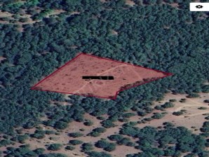 HAVRAN TARLABAŞINDA 6.5 DÖNÜM SATILIK TARLA – YATIRIMLIK FIRSAT ARAZİ