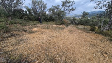 Deniz Manzaralı, Zeytin Ağacı Bahçeli, 1453 m² Lüks Zeytinlik Satılık!