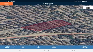 Havran Mescit Mah. 1500m2 Satılık Zeytinlik Hissesi Tapulu Pazarlıklı