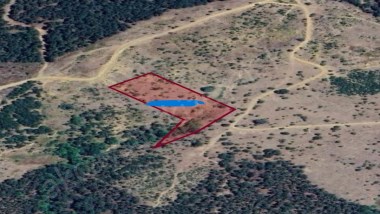 HAVRAN TARLABAŞINDA 8.590 m²  FIRSAT TARLA – SU MEVCUT, ELEKTRİK ÇEKİLEBİLİR