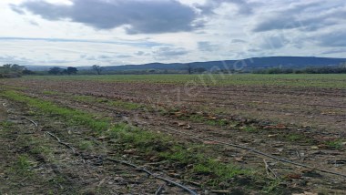 ÇANAKKALE EZİNE BAHÇELİ KÖYÜNDE 16.699 m² SATILIK FIRSAT ARAZİ