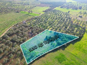 GÖKÇEBAYIRDA SATILIK 3830 M2 YATIRIMLIK ARAZİ