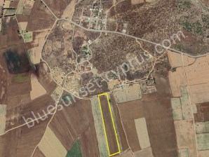 SATILIK TÜRK TAPULU TARLA