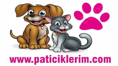 Devren Satılık Paticiklerim Petshop Markası, Devren Satılık Paticiklerim Petshop Zincir Mağaza İsmi