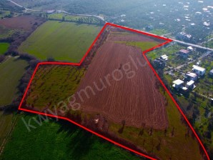 Seferihisar Düzce Azmak Koyu Çiftlik Evine Uygun Arazi