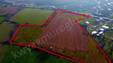 Seferihisar Düzce Azmak Koyu Çiftlik Evine Uygun Arazi