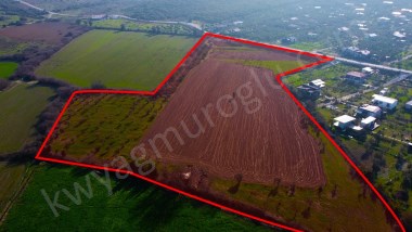 Seferihisar Düzce Azmak Koyu Çiftlik Evine Uygun Arazi