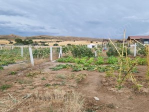 SİVAS İŞHANDA TARLA