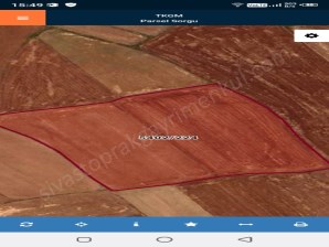 SİVAS UZUNTEPEDE SATILIK TARLA