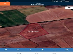 SİVAS TOPRAK GAYRİMENKUL DEN  SİNEKLİ DE SATILIK TARLALAR 