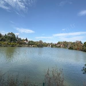 DNZ GAYRİMENKUL A.Ş.  Ofis Adreslerimiz 