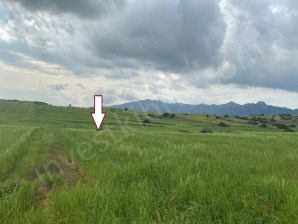 Araziye Yatırım Zamanı   Kurtuluş Köyüne Yakın İleride Kazandıracak Yatırım Fırsatı