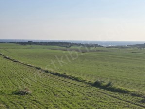 Araziye Yatırım Fırsatı KKTC Karpazda Denize Yakın İlerisi İçin Yatırım Fırsatı Tarımsal Arazi