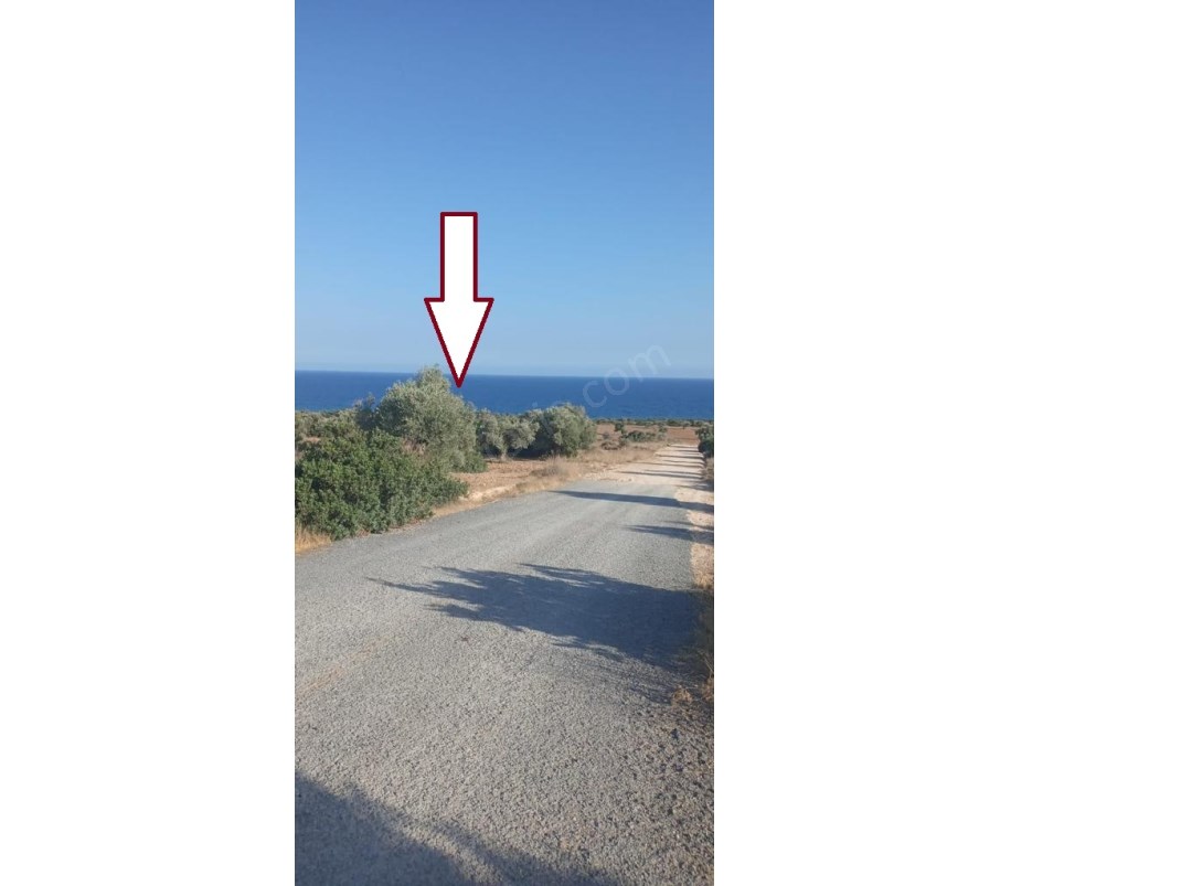 Deniz Manzaralı Resmi Yolu Mevcut, Uygun Fiyat 2 Adet Arazi 