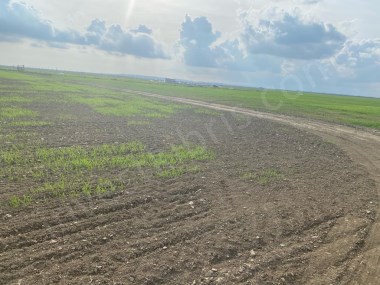 Hızla Konut Projeleri ile Gelişen Bölge Yüksek Kat İzinli