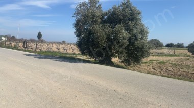 Türk Koçanlı, Ana Yola Sıfır, İmar İzinli. Bölgede Emsal Araziler 2 Kat Fiyatına Pazarlanmakta