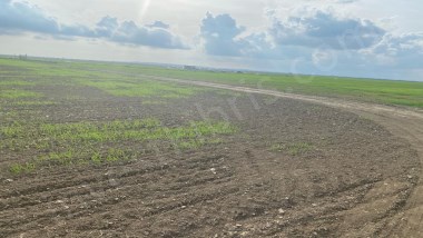 Hızla Konut Projeleri ile Gelişen Bölge Yüksek Kat İzinli