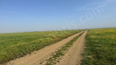 Araziye Yatırım Fırsatı, Bölgede Emsal Araziler 2 Kat Fiyatına Pazarlanmakta Çok Amaçlı Arazi
