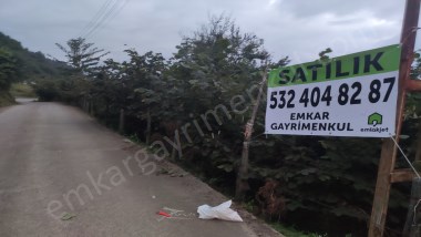 SATILIK 7,5 DÖNÜM FINDIK BAHÇESİ 