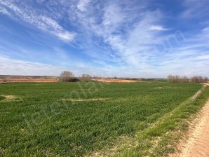 Kırklareli Babaeski Satılık Hisseli Tarla   754 m² Yatırım Fırsatı