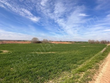 Kırklareli Babaeski Satılık Hisseli Tarla   754 m² Yatırım Fırsatı