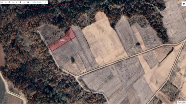 Edirne Meriç Hasırca Arnavut Köyü Satılık Tek Tapu Tarla 2920 m2