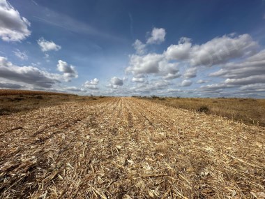 Edirne Süloğlu Büyük Gerdelli Satılık Tarla 3430 m2 Resmi Yolu var