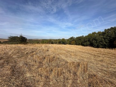 Edirne Uzunköprü Meşeli Köyü Satılık Tarla 2986 m²